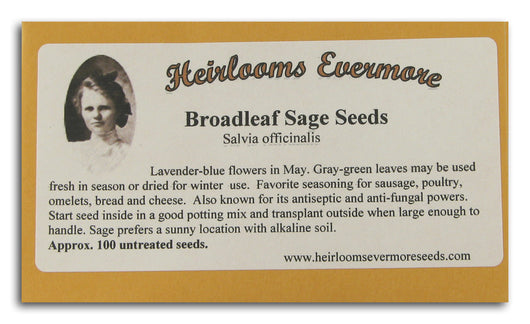 Broadleaf Sage Seeds