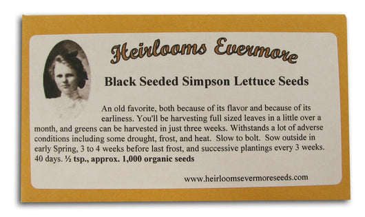 Black Seeded Simpson Lettuce Seeds