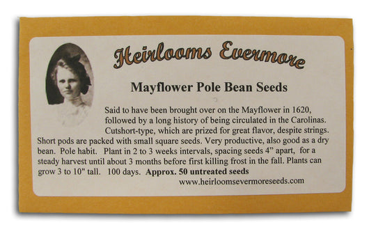 Mayflower Pole Bean Seeds