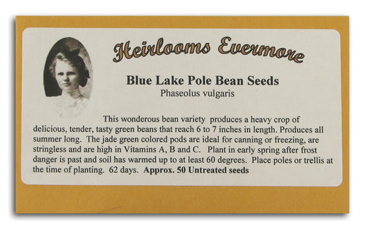 Blue Lake Pole Bean Seeds