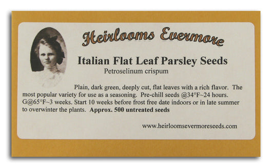 Italian Flat Leaf Parsley Seeds