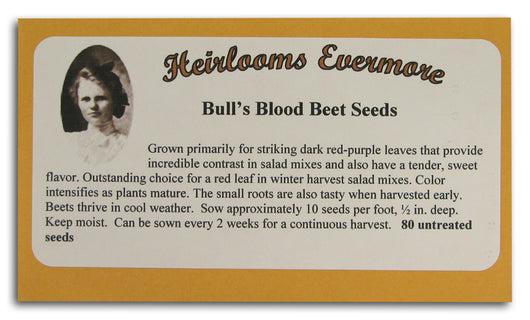 Bull's Blood Beet Seeds