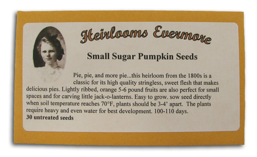 Small Sugar Pumpkin Seeds